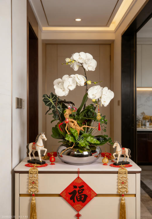 马载安康 商品图0