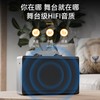 PHILIPS/飞利浦 SD100 舞台式战鼓大功率 户外演出专业级乐器K歌蓝牙音箱 直播音响 商品缩略图1