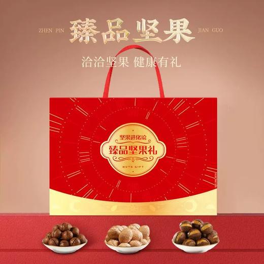 洽洽坚果进化论坚果礼盒1.28KG/盒【BN】 商品图1