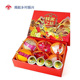 水果礼盒- 琼州味道二号 净重约4kg