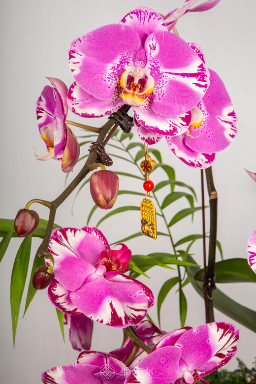 金马送瑞 商品图3