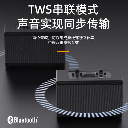 PHILIPS/飞利浦 SD100 舞台式战鼓大功率 户外演出专业级乐器K歌蓝牙音箱 直播音响 商品图6