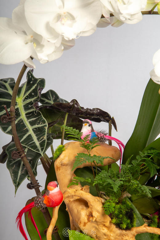 马载安康 商品图3