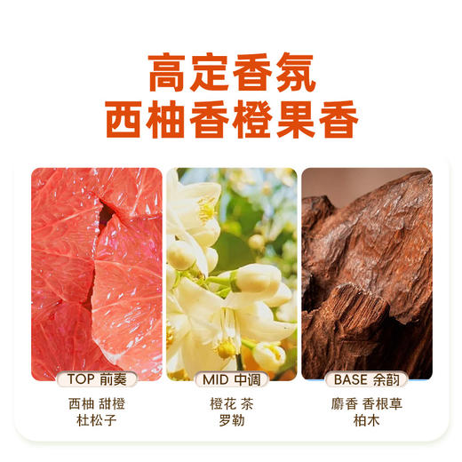 SukGarden西柚山茶籽精油洗发乳-800g 商品图4