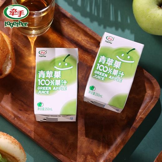 牵手（together）青苹果100%果汁饮品青苹果汁250ml*10盒 商品图3