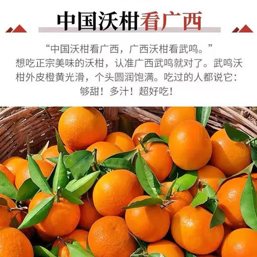 【广西武鸣沃柑】甜蜜多汁果肉细嫩 爽口化渣皮薄易剥（【广西武鸣沃柑】甜蜜多汁果肉细嫩 爽口化渣皮薄易剥） 商品图4