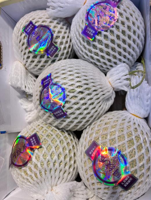 可口蜜瓜一箱 商品图2