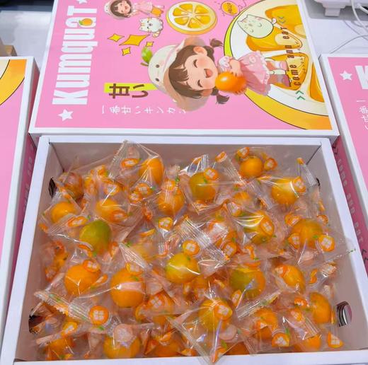 脆蜜金桔 甜金桔 商品图3