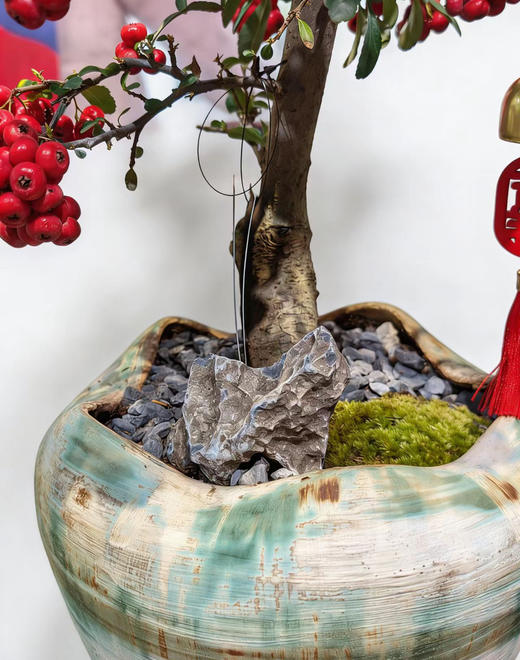 马不停蹄-满堂红 商品图2