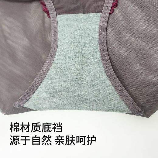【99元5条】皇家丽美柔软高弹舒适不勒轻薄透气底裤女士K1705-K1 商品图1