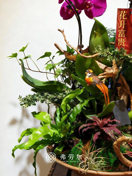 金戈铁马 商品图2