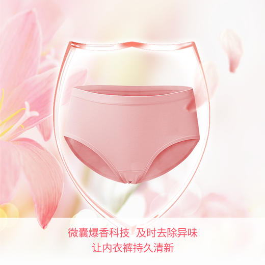 SukGarden蔬果园雪绒松除菌内衣洗衣液-500g 商品图4