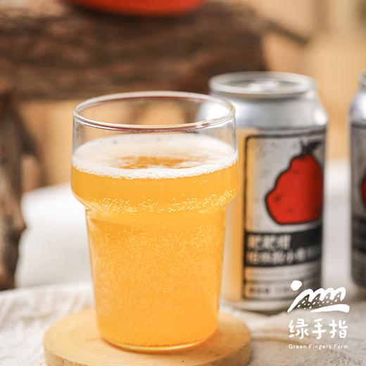 耙耙柑柏林酸小麦精酿啤酒  | 合作生产 * Papagan Berlin sour wheat craft beer | Partner Production 商品图2
