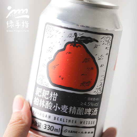 耙耙柑柏林酸小麦精酿啤酒  | 合作生产 * Papagan Berlin sour wheat craft beer | Partner Production 商品图1