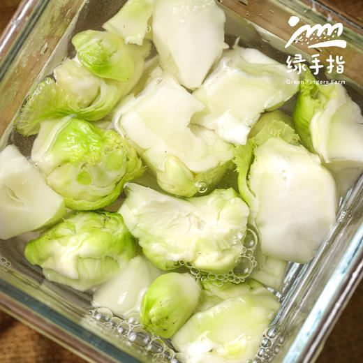 生态儿菜| 合作生产*Edible Amaranth| Partner Production 商品图1