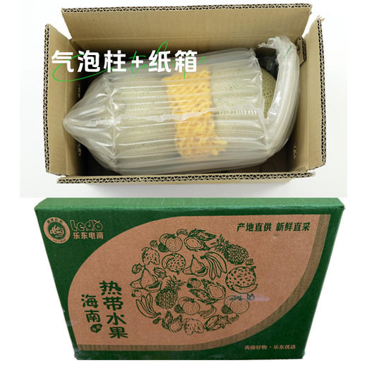 【海南哈密瓜】皮薄肉厚脆甜多汁 一口沦陷~ 商品图7