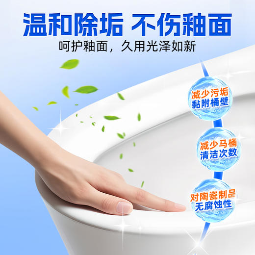 SukGarden蔬果园银针雪松洁厕剂-800g 商品图5