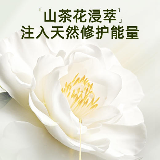 SukGarden白檀山茶精油香氛沐浴乳-500g 商品图2