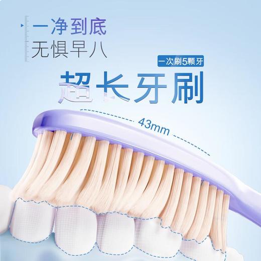 高露洁超长刷 牙刷单支装 商品图2