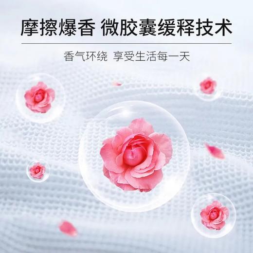 SukGarden蔬果园珞珈樱花经典留香洗衣乳液（袋装）-500g 商品图3