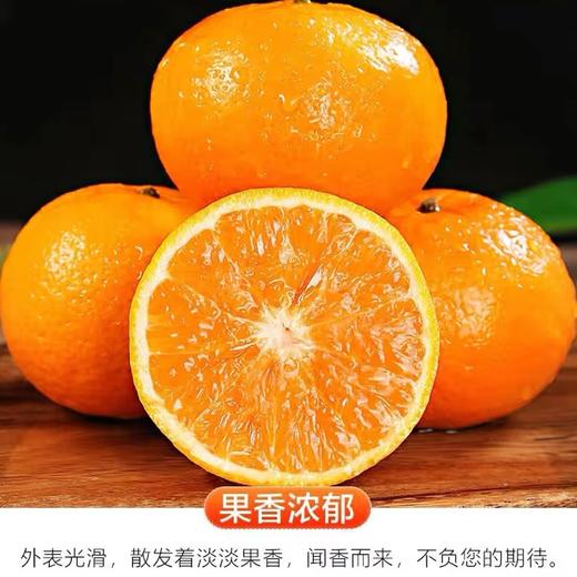 【广西武鸣沃柑】甜蜜多汁果肉细嫩 爽口化渣皮薄易剥（【广西武鸣沃柑】甜蜜多汁果肉细嫩 爽口化渣皮薄易剥） 商品图3