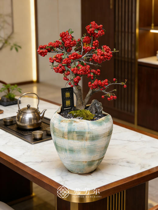 伯乐相马-满堂红 商品图0