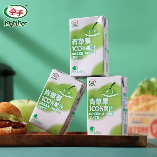 牵手（together）青苹果100%果汁饮品青苹果汁250ml*10盒 商品图4