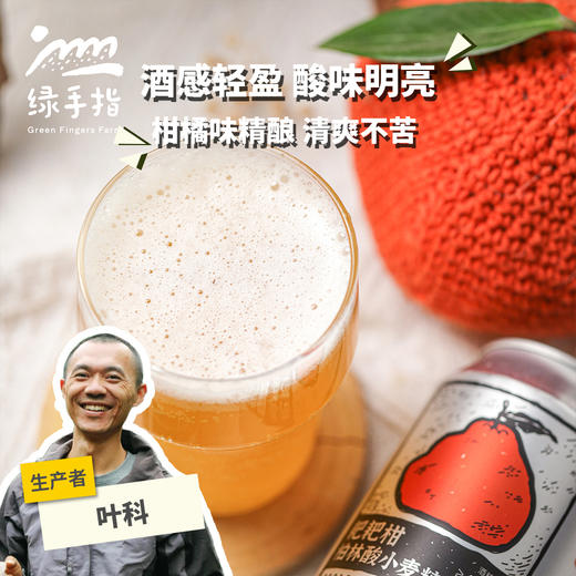 耙耙柑柏林酸小麦精酿啤酒  | 合作生产 * Papagan Berlin sour wheat craft beer | Partner Production 商品图0