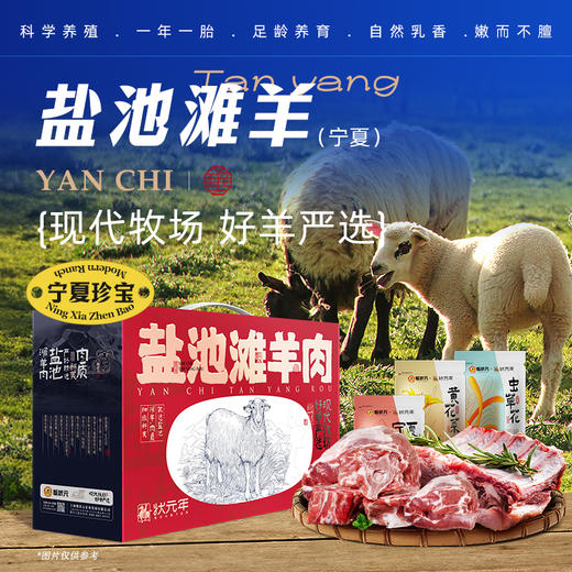 蟹状元缤纷通提卡 商品图2