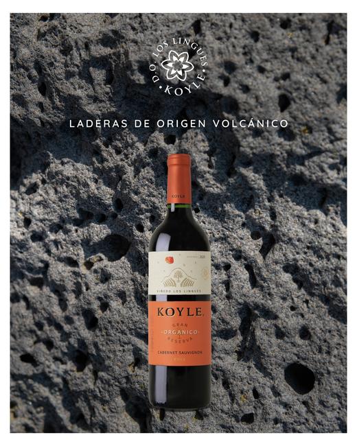 柯莱单一园赤霞珠干红葡萄酒 商品图0