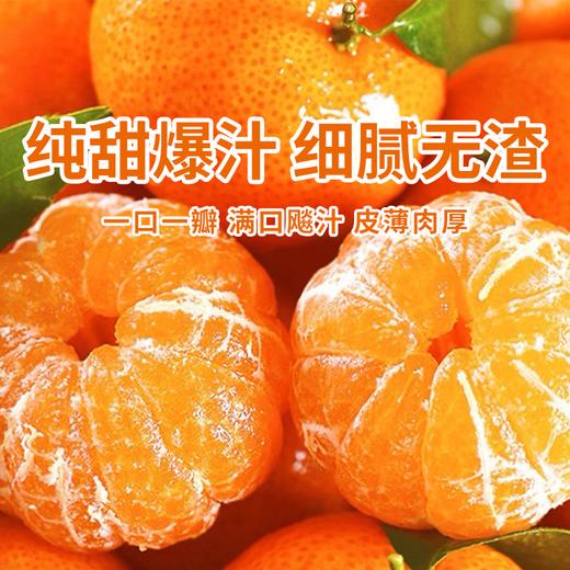 【广西砂糖橘】纯甜爆汁细腻无渣 皮薄肉厚富含维C复） 商品图0