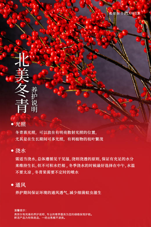 马上有喜 商品图5