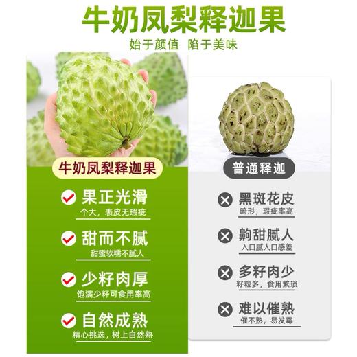 【释迦果】牛奶凤梨释迦果 甄选大果肉质紧实口感香浓复） 商品图3