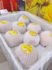 蜜糖秋月梨一箱 商品缩略图2
