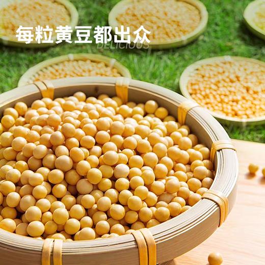 海天薄盐生抽 500ml12瓶/件 商品图4