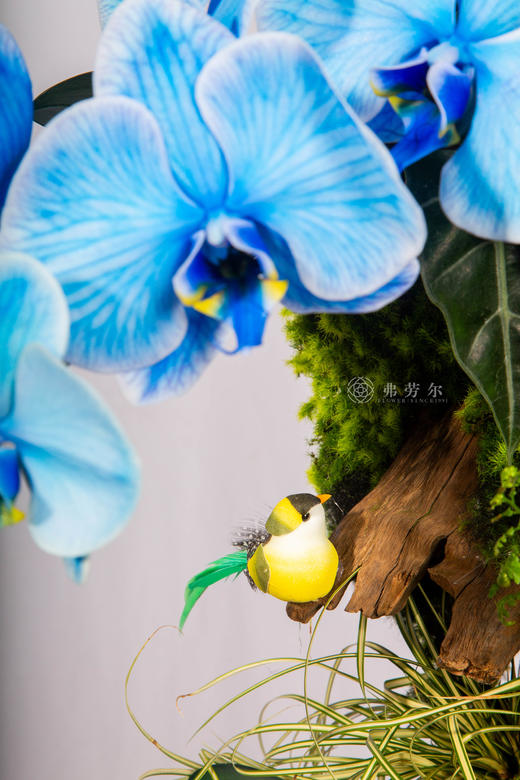 马聚宝盆 商品图3