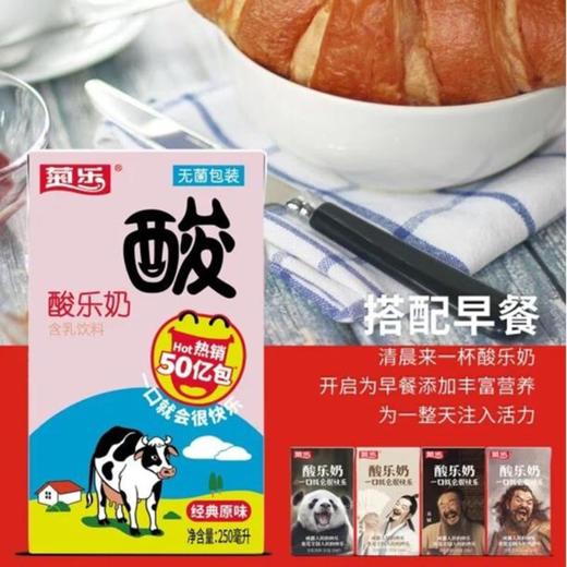 菊乐酸乐奶含乳饮料整件装 250ml*24盒/提 商品图5