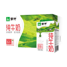 蒙牛纯牛奶3.2g蛋白质 浓纯营养 250ml*24瓶/提