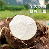 【荔浦芋头】粉糯香甜个大饱满 营养丰富~ 商品缩略图3