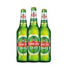 青岛啤酒优质칭다오맥주0度600ml瓶装 商品缩略图1
