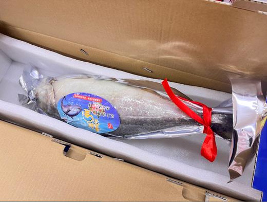 黄金鲅鱼礼盒 商品图3