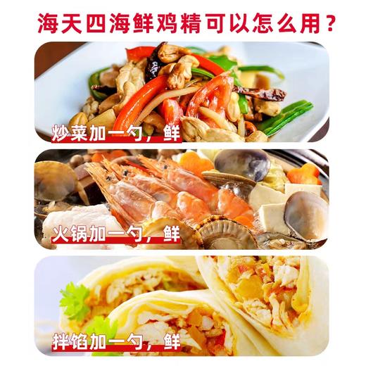 海天精选鸡精(自立袋)100g/包 商品图4