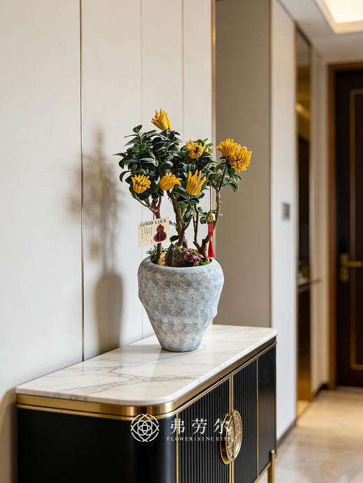 马库充盈-金佛手 商品图0