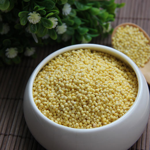 有机杂粮（糙米，大黄米，黑米，燕麦米，糯米，薏米，荞麦仁，小米，大豆，红小豆，绿豆，黑豆，亚麻籽，花生，南瓜籽仁，五谷粥米，八宝粥米）满3件包邮，满2件发货 商品图1