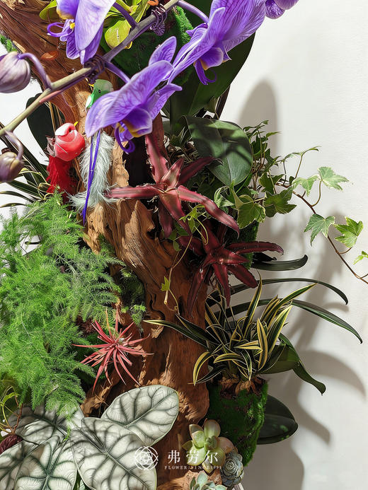 马上有钱 商品图2