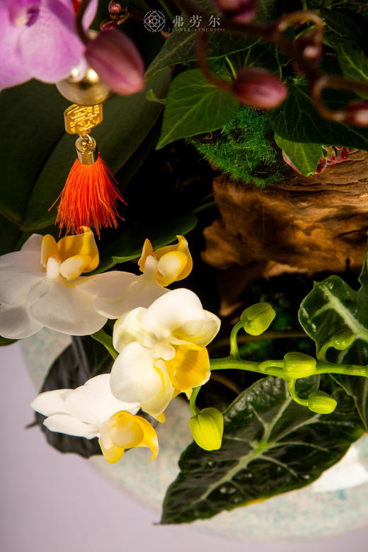 马跃千祥 商品图3