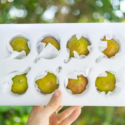 18°果缘®️「花香蜜」空运无花果 整件2层 16~20粒 商品图10