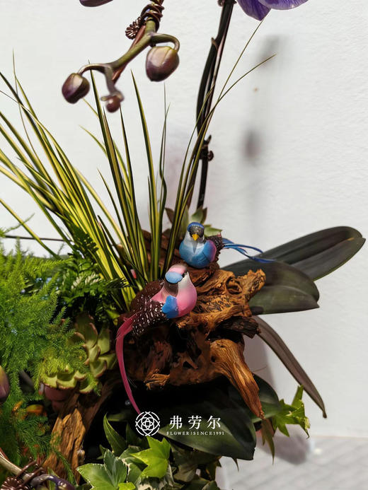 马力十足 商品图1