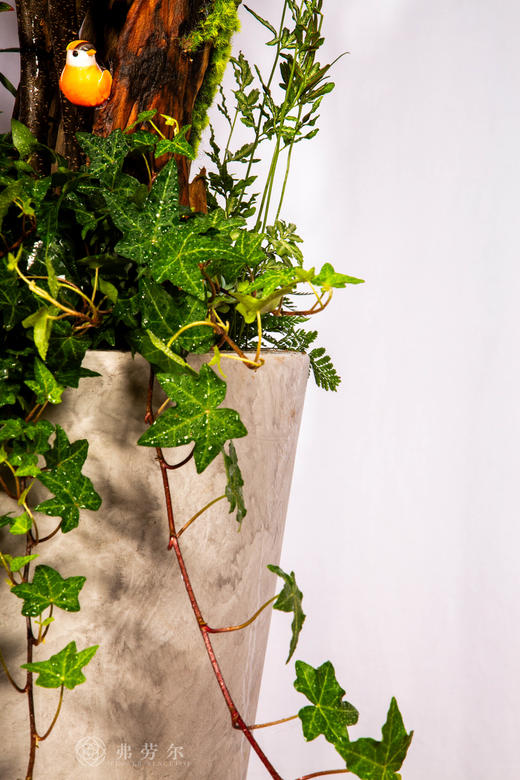 马上有喜 商品图4