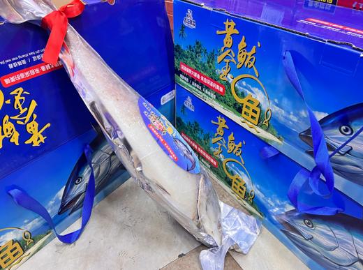 黄金鲅鱼礼盒 商品图4